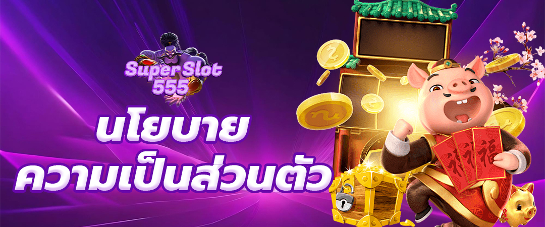 นโยบายความเป็นส่วนตัว